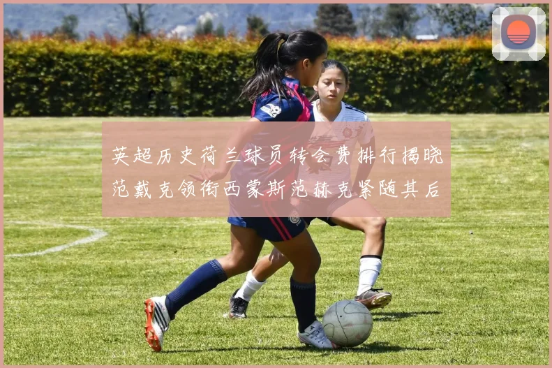 英超历史荷兰球员转会费排行揭晓范戴克领衔西蒙斯范赫克紧随其后
