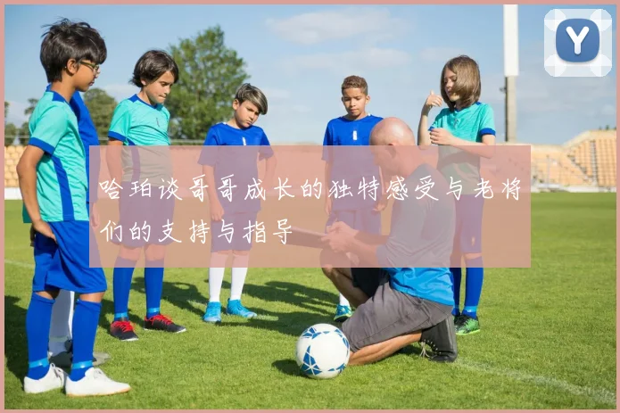 哈珀谈哥哥成长的独特感受与老将们的支持与指导