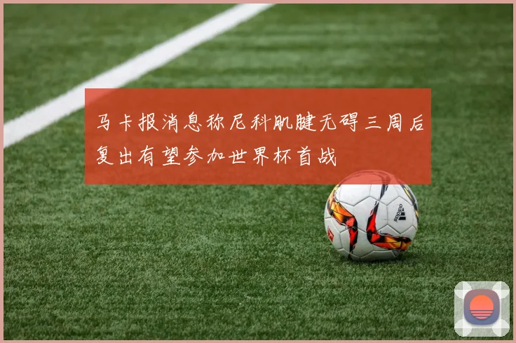 马卡报消息称尼科肌腱无碍三周后复出有望参加世界杯首战